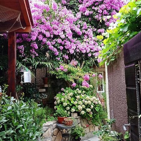 Apartman I Sobe Cule Cres Bagian luar foto