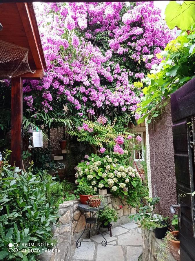 Apartman I Sobe Cule Cres Bagian luar foto